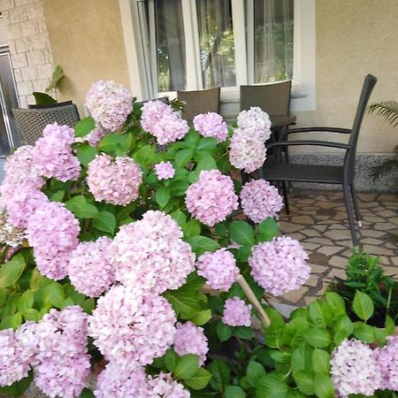 Apartman Paulina Apartment Selce Exterior photo